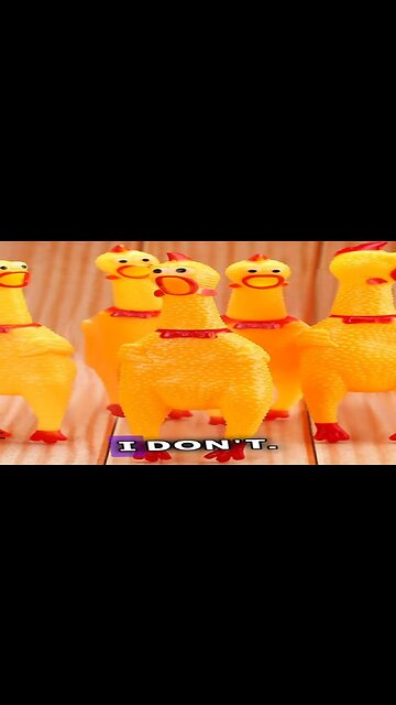 The Squeaky Rooster Debate, What Do You Call It?!