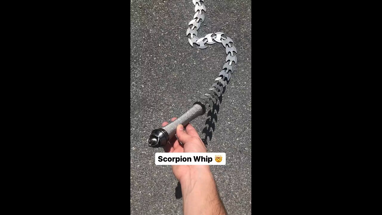 Scorpion Chain Whip