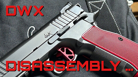 Dan Wesson DWX disassemble