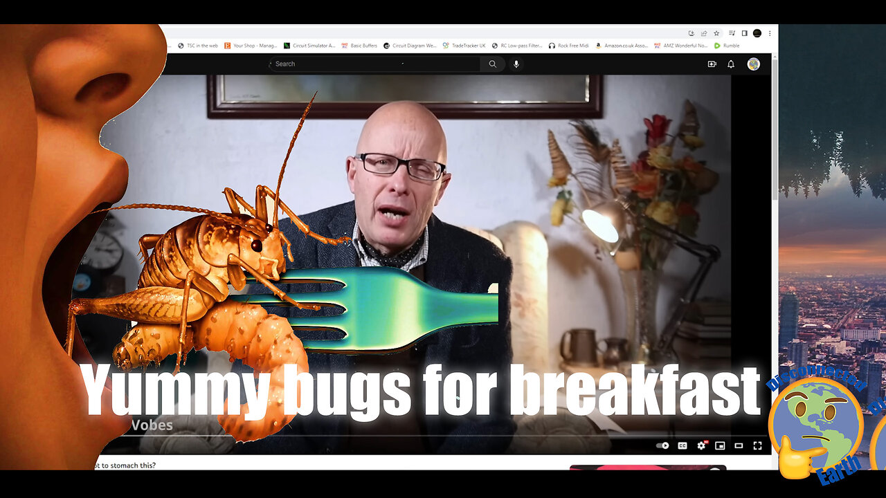 Let's have some bugs for breakfast