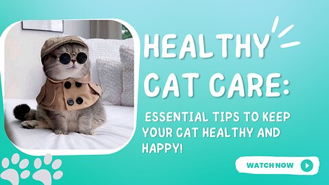 Healthy Cat Care: Essential Tips to Keep Your Cat Healthy and Happy!