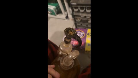 Day 3 I took too many hits lol