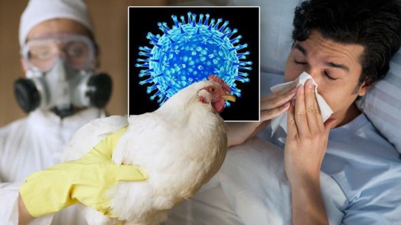 Bird flu outbreak ,Biden administration: U.S. strategy is to counter the growing outbreak.