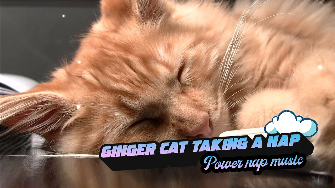 Cute ginger cat taking a nap - AI Generated nap music for pets - 20min Music For Sleeping pets