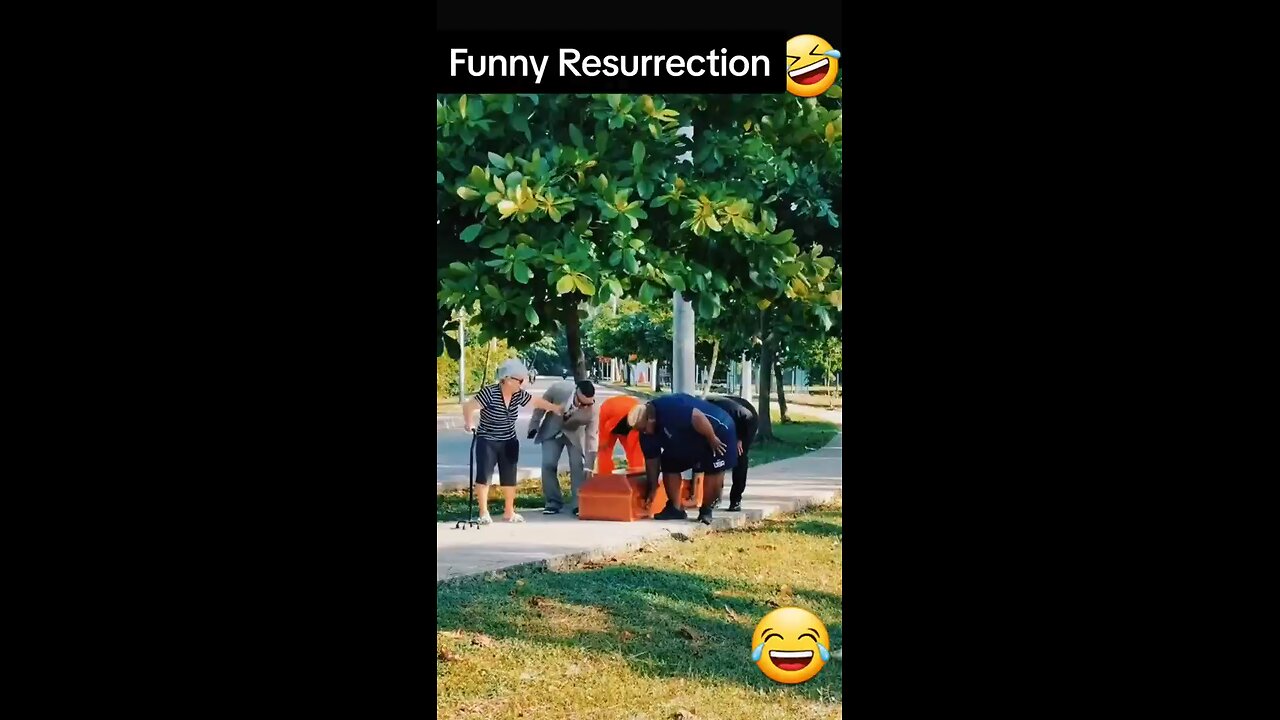 funny video