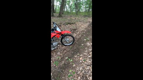 Crf100f rev limiter