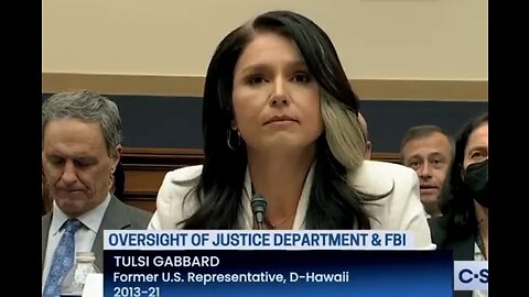 Tulsi Gabbard Rips Mitt Romney Apart During Hearing