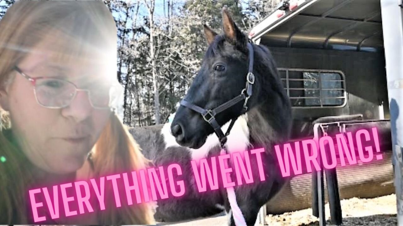 Our First Winter Trail Ride And Everything Went Wrong!