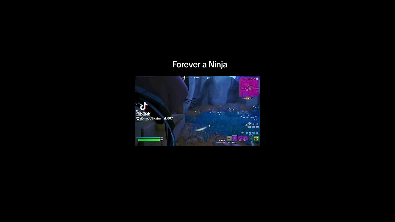 Fortnite Ninja