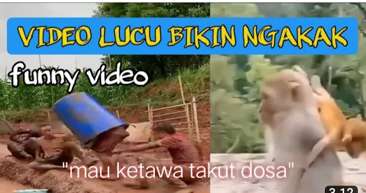 Kumpulan video lucu bikin sakit perut