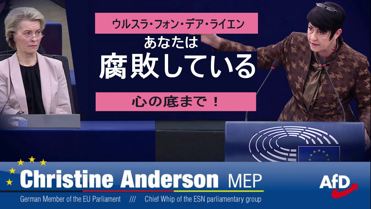 クリスティン・アンダーソン「新しい EU 委員会が本日選出されました。真の自由を愛する民主主義者にとっては悲劇です。」