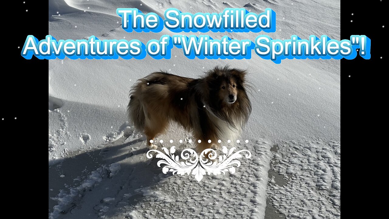 The Snow filled Adventures of "Winter Sprinkles"!