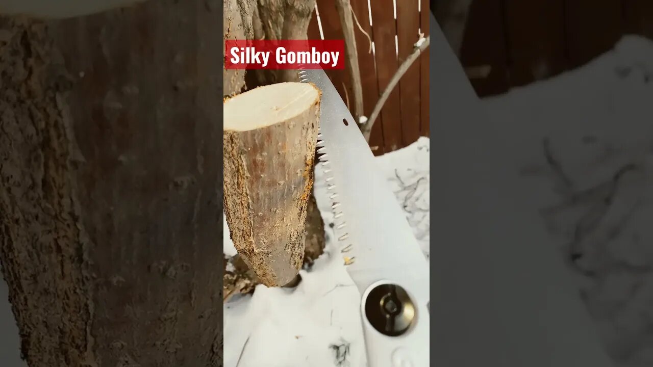 Silky Gomboy cutting wood