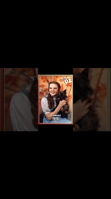 Wizard of Oz (1939) Character Cards (Had to use a cover song)