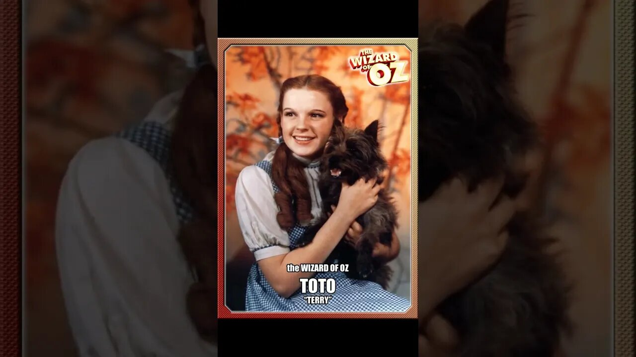 Wizard of Oz (1939) Character Cards (Had to use a cover song)