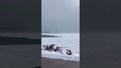 Where Ice Meets Water 🧊🌊 #ocean #ice