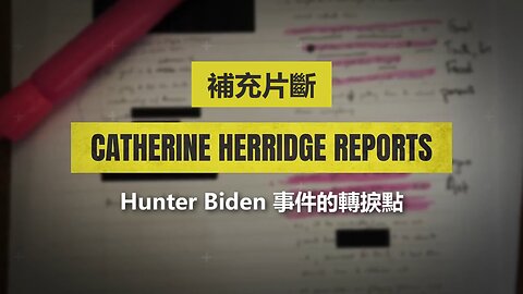 補充片段：Hunter Biden 事件的轉捩點