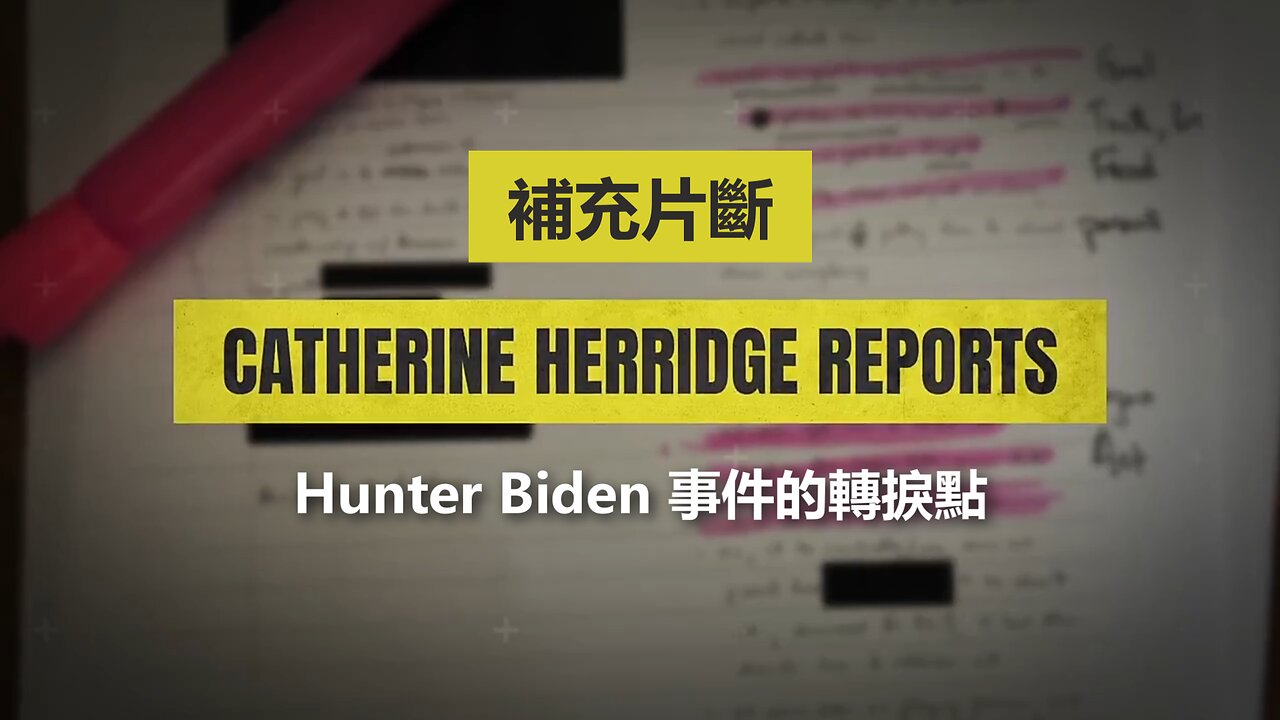 補充片段：Hunter Biden 事件的轉捩點