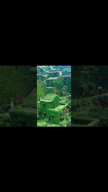 The uninhabited village of the Lonely Island in Zhoushan facing the sea.