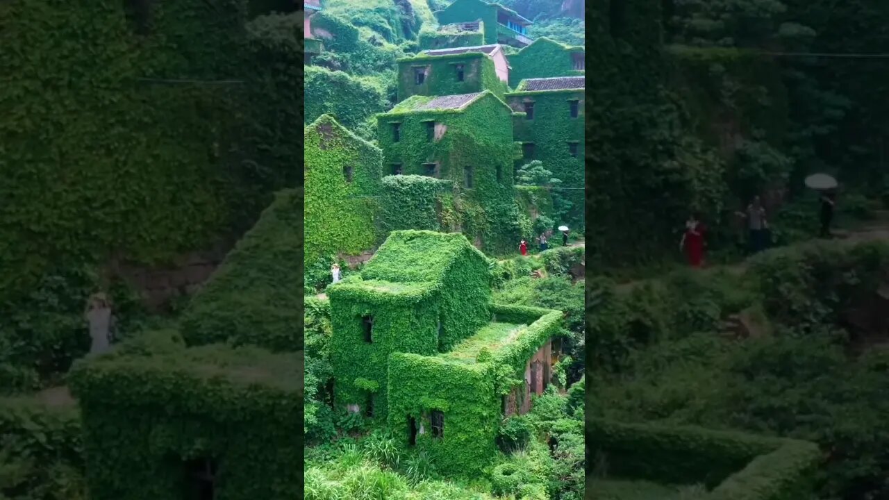 The uninhabited village of the Lonely Island in Zhoushan facing the sea.