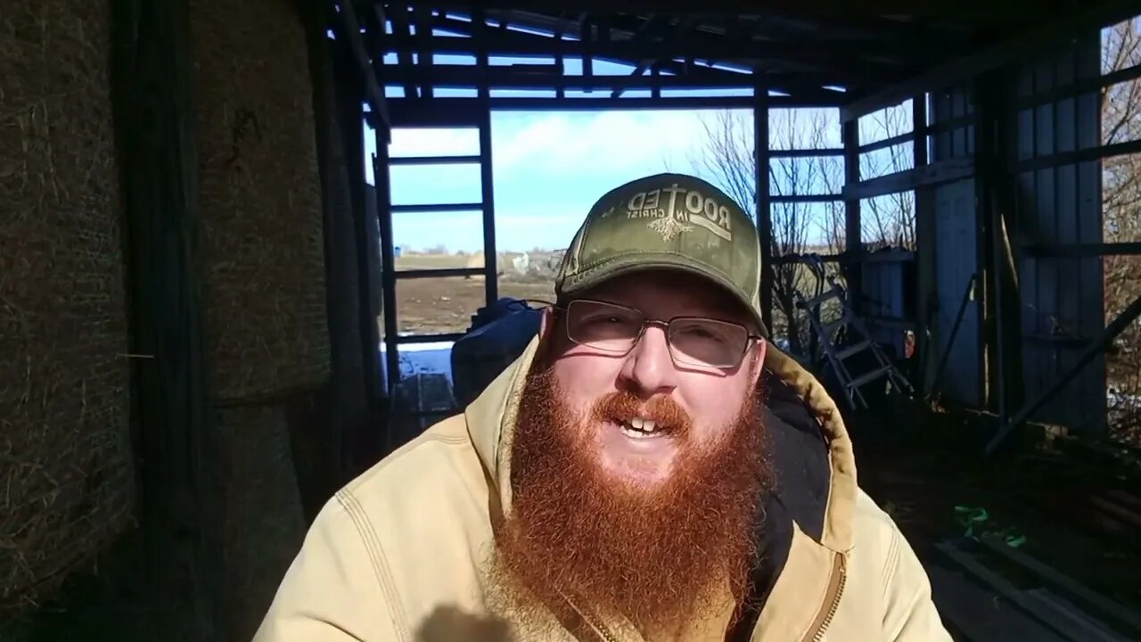 WHEAT ISSUES.