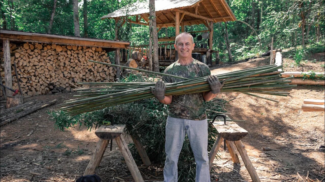 OFF GRID TIMBER FRAME CABIN IN THE WOODS | WILD CANE, FOREST KITCHEN & INTERIOR WALLS