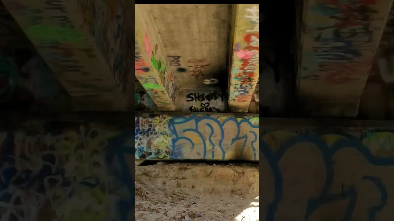 Beneath the Graffiti Bridge to Nowhere 2 #shorts