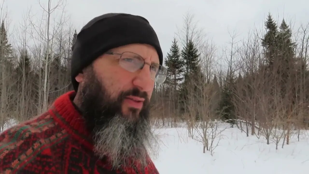 Should We Move Back On Grid?