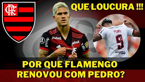 QUE LOUCURA! É MUITA COMPETÊNCIA! PORQUE FLAMENGO ANTECIPOU A RENOVAÇÃO COM ATACANTE PEDRO - É TRETA