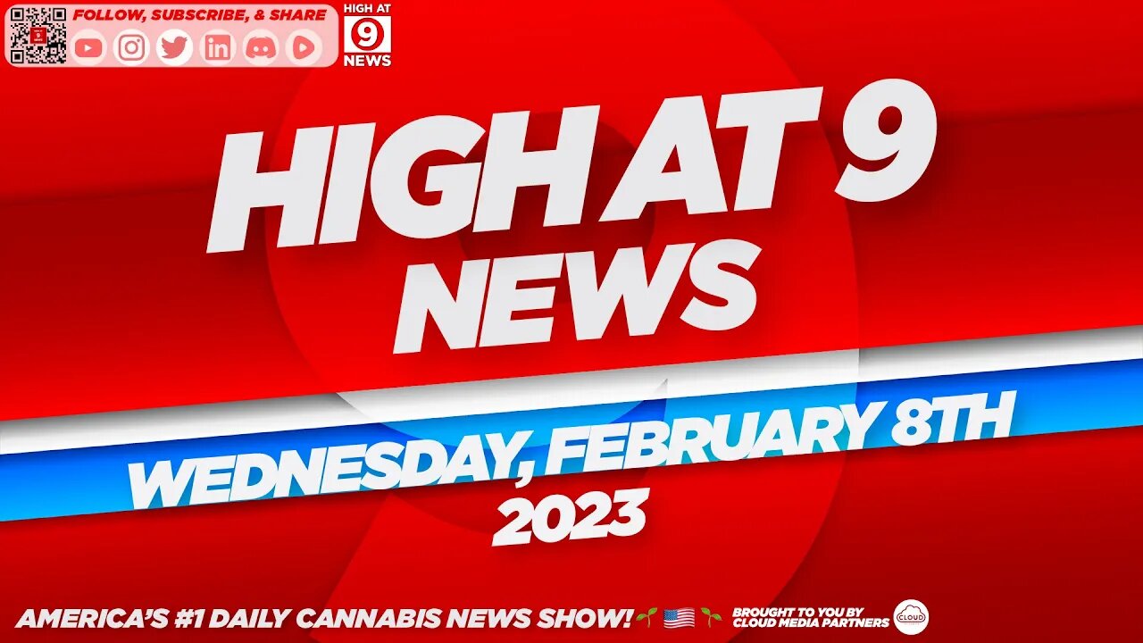 High At 9 News : Wednesday February 8th, 2023