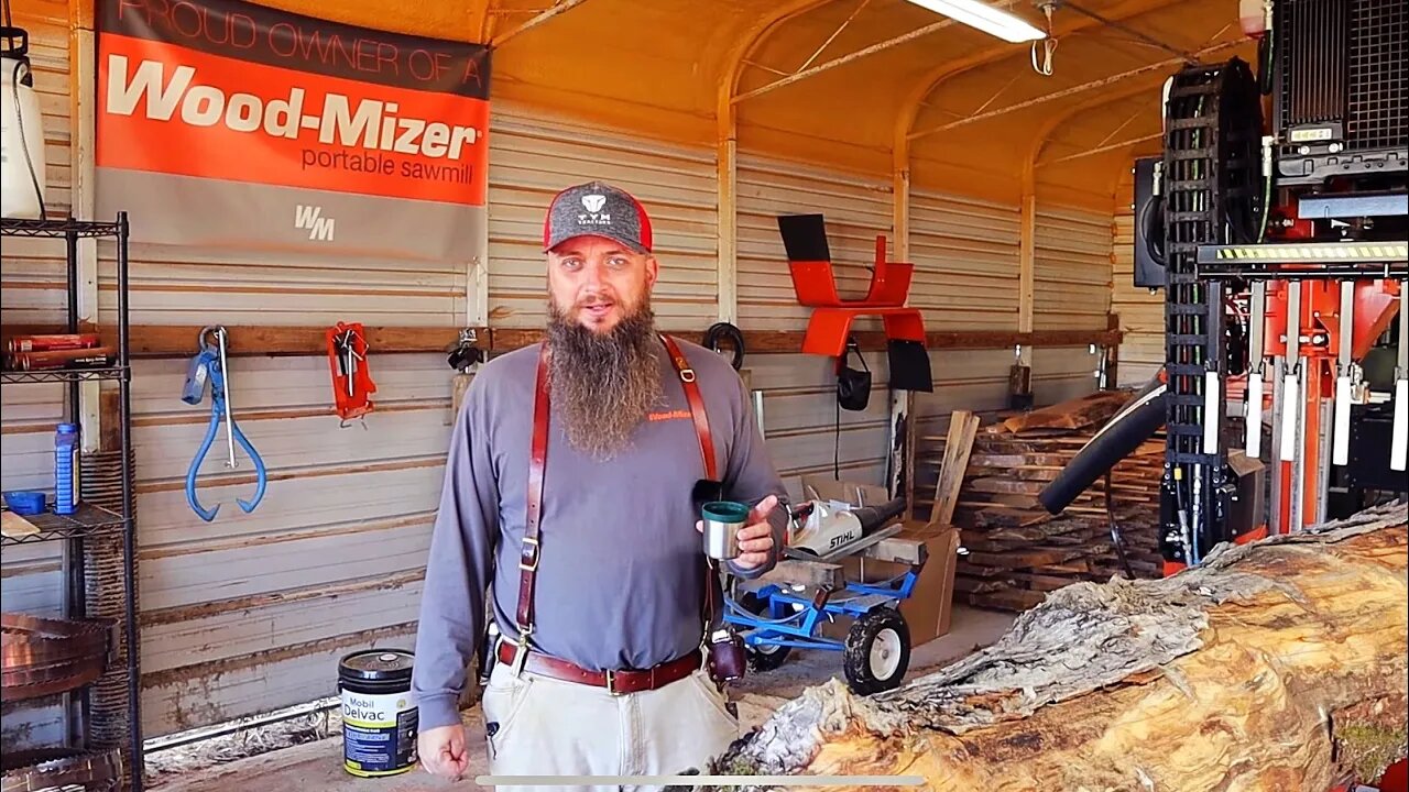 This Is Exactly What You Want To Find Inside A Log At The Sawmill,