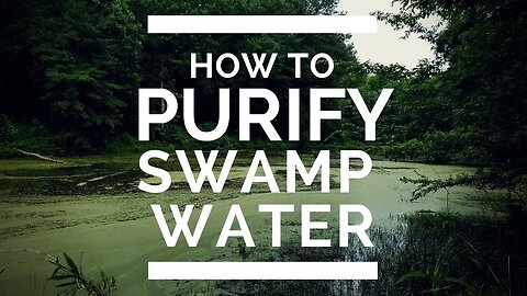 How to Purify Swamp Water