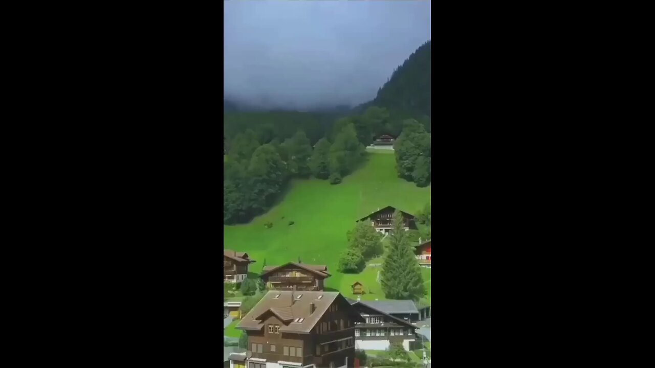 beautiful nature video please like share comment and subscribe
