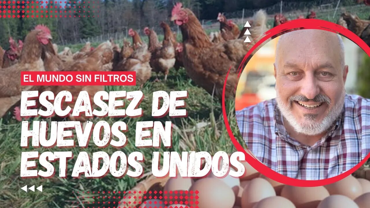 🔴 ¡Última Hora! Los Huevos En EEUU Están Tan Caros Que Los Están Contrabandeando Por La Frontera😱🙏🏻