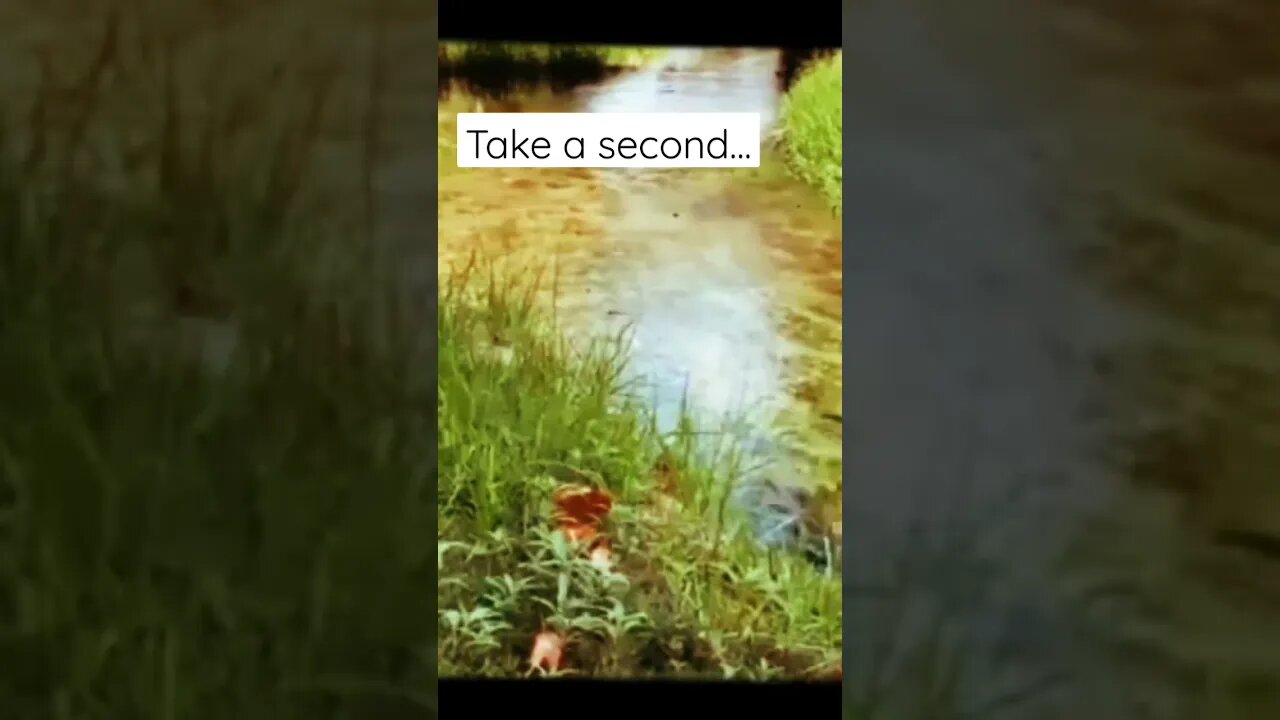 Clear Your Mind #asmr #relaxing #creeksounds