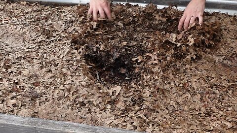 Uncovering raised garden beds