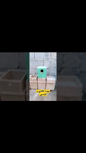 بيوت الكناري و الميستو و الفيشر كيوت روعة