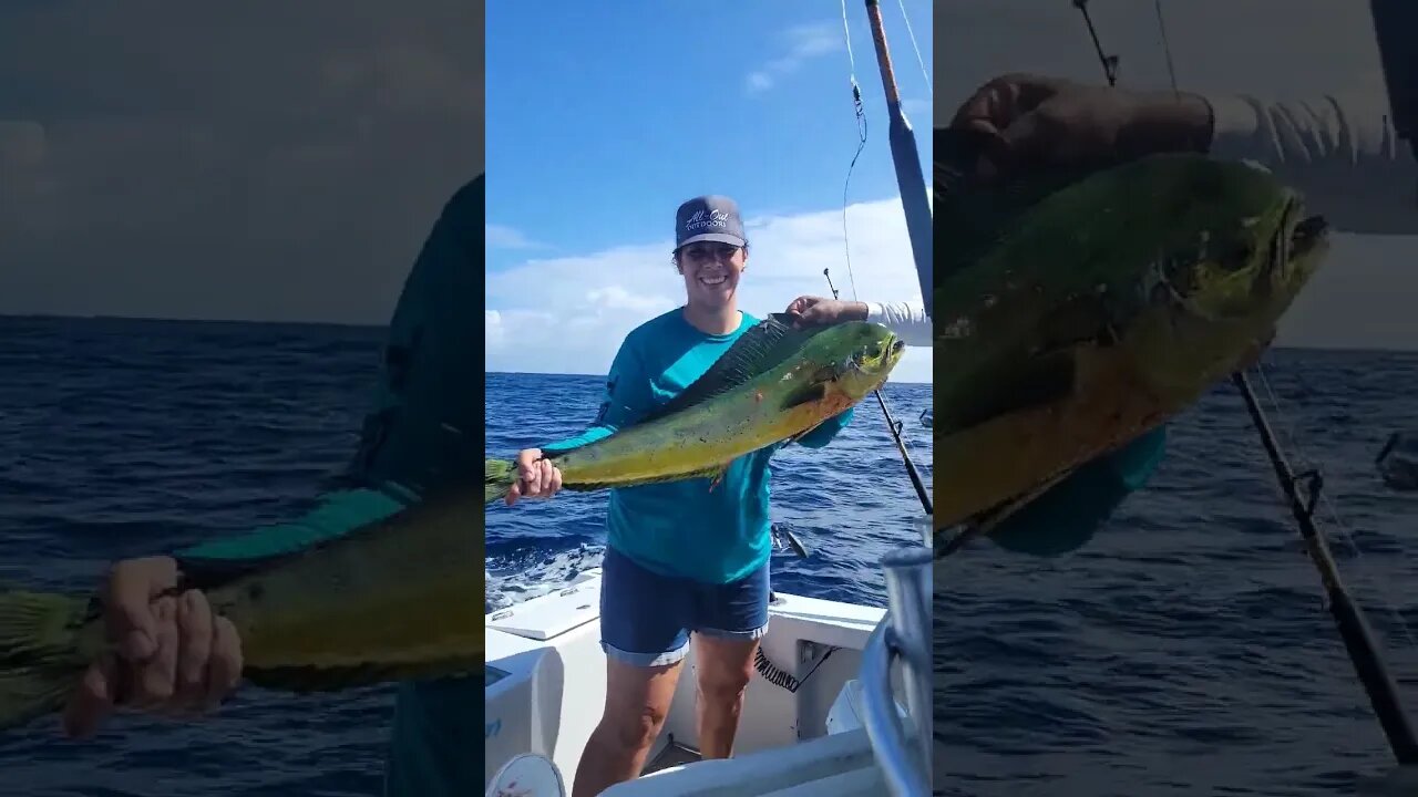 Mahi Mahi, Dorado, dolphin fish. No matter the name, she got her bucket list fish.