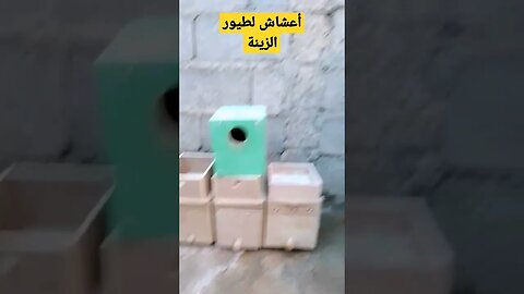 أعشاش لطيور الزينة أم قنين أو البادجي أو الكناري