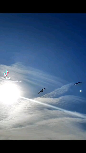 See the beauty that is all around.