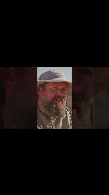 🐝 beekeeping #shorts