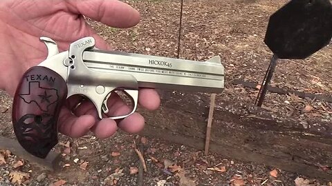 Bond Arms Texan