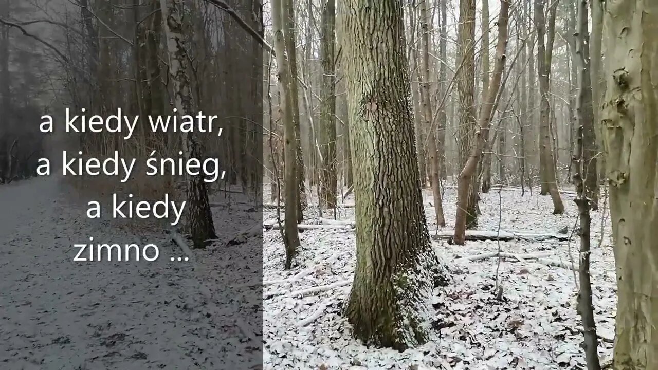 a kiedy wiatr ...a kiedy śnieg ... a kiedy zimno...