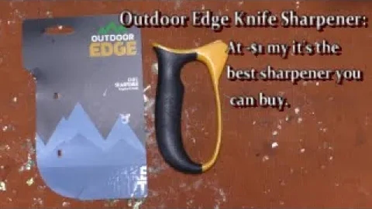 Outdoor Edge Knife Sharpener: At -$1 my it's the best sharpener you can buy.