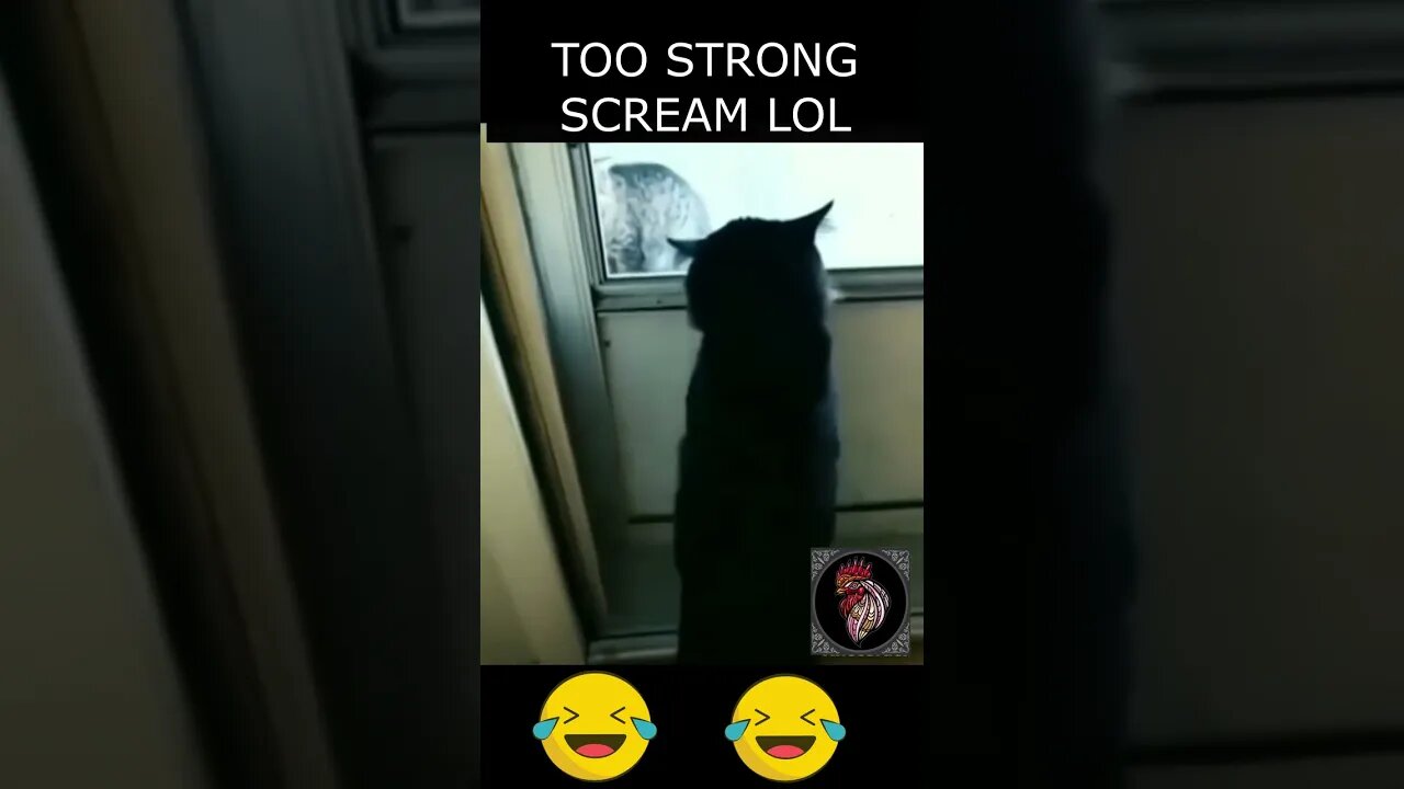 TOO POWERFULL SCREAM 😱😂 LOL