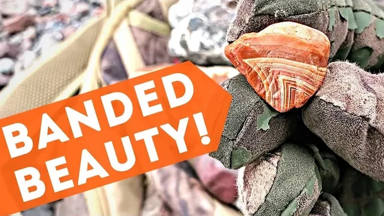 Minnesota Rockhounding | Lake Superior Agate Hunting