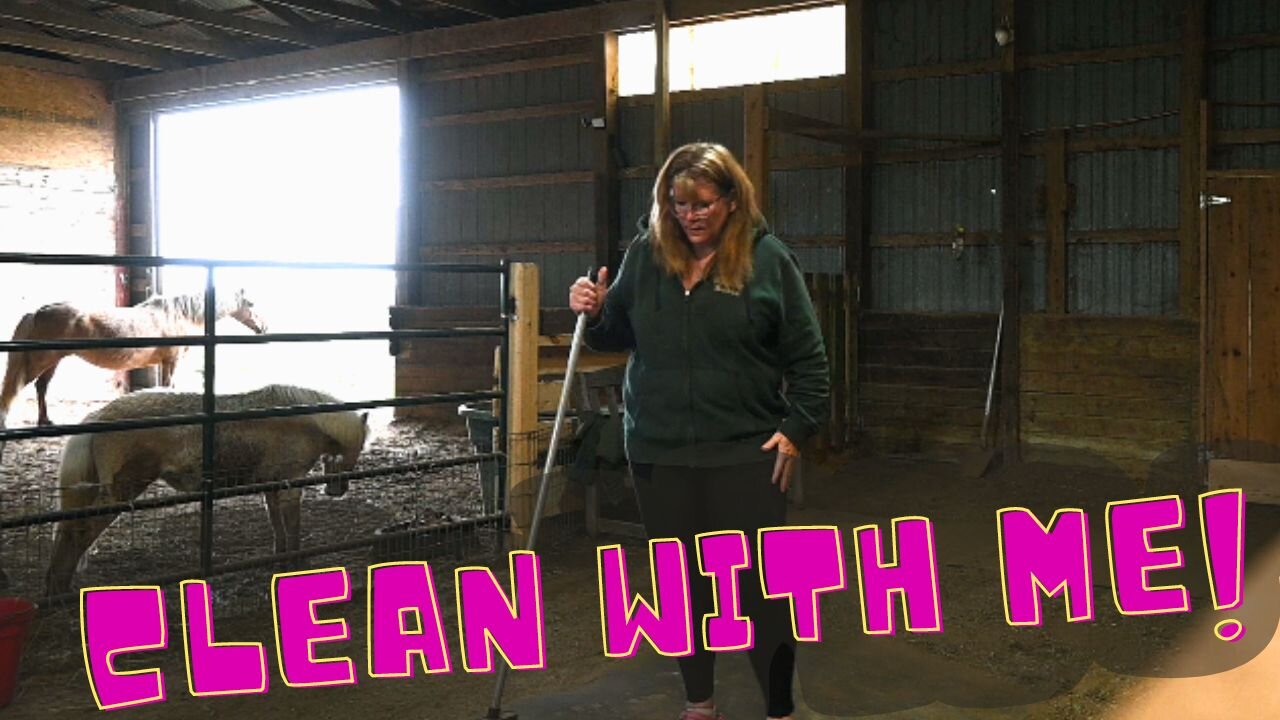 Clean Our Horse Barn With Me!