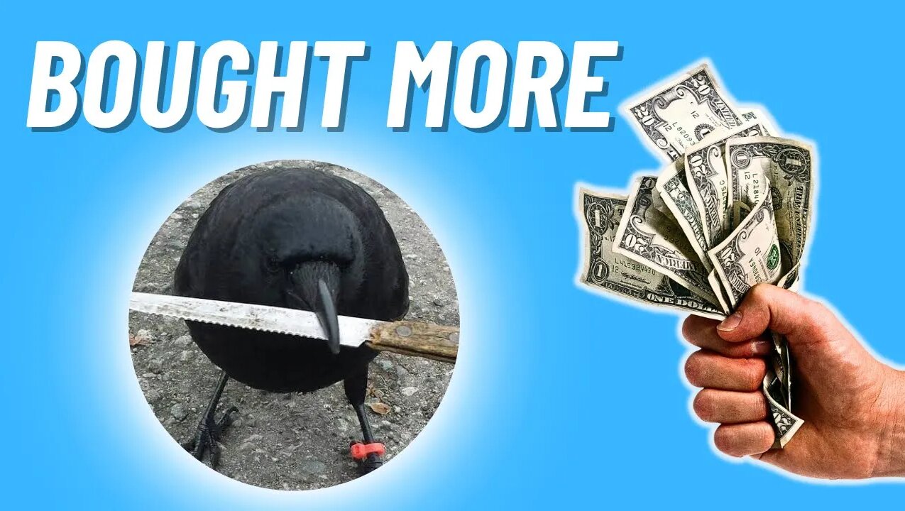 I JUST BOUGHT MORE CROW WITH KNIFE (CAW) COIN || THIS IS WHY