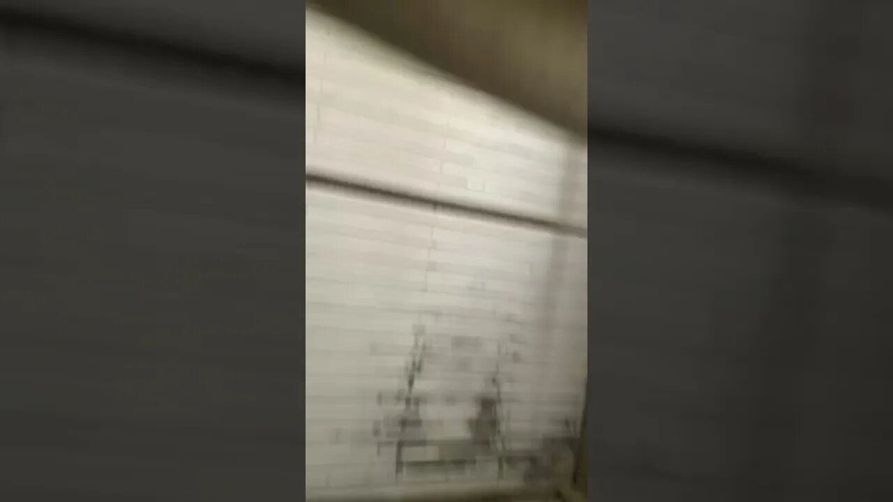 My favorite part of the car wash! ๐ ๐งผ ๐งฝ
