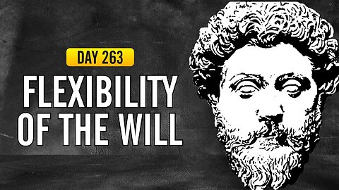 Flexibility of the Will - DAY 263 - The Daily Stoic 365 Day Devotional